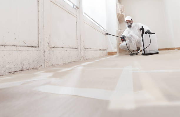 24/7 Emergency Mold Remediation experts in Parlin, NJ